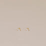 Teardrop Clear CZ Earrings