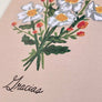 Matilija Poppy Gracias Southwestern Greeting Card