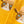 Meowdy Socks by Shop Good
