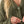 Confetti Button-Front Cardigan Sweater