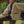Button Front Pattern Sherpa Jacket