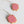 Scarlett Hoop Earring by Katie Lynne