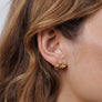 Petite Gold Knot Earrings by JaxKelly