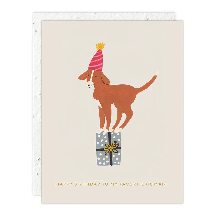 Birthday Dog - Birthday Card