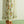 Floral Embroidery Striped Pants with Tie