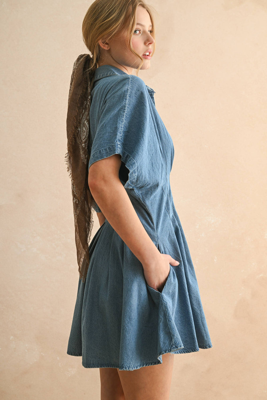 Chambray Denim Button Front with Pleat Detail Dress
