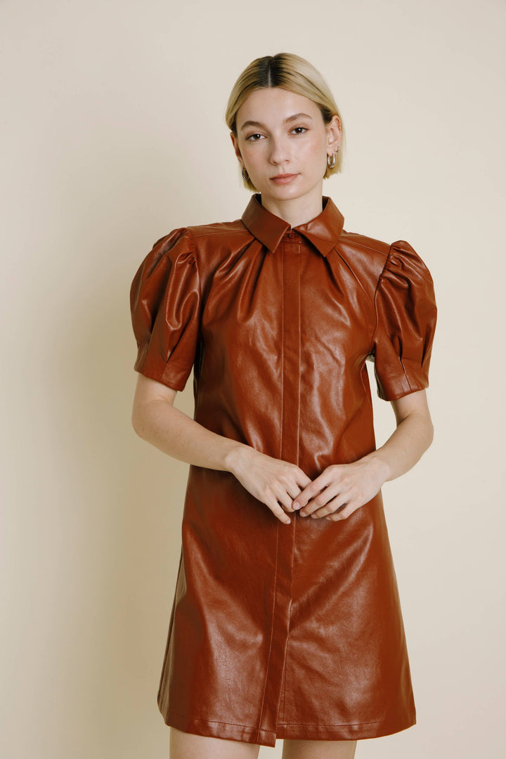 Vegan Leather Mini Dress