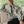 Floral Sherpa Fleece Half-Zip Pullover Jacket