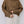 The Beck Sweater | Confetti Sweater by All Row