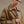 Collar Jacket with Contrast Stitching