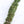 Creosote Bush Shower Hanging Bundle