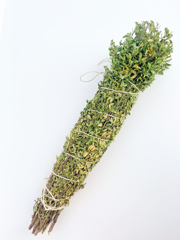 Creosote Bush Shower Hanging Bundle